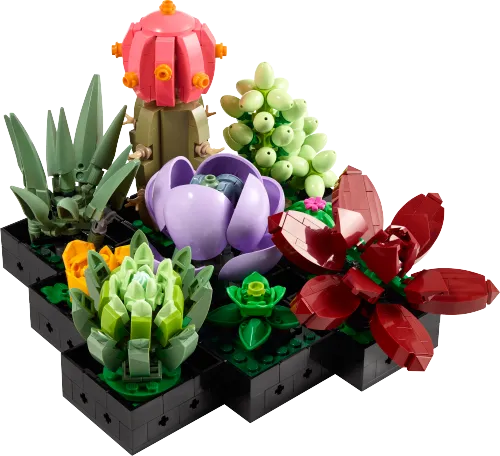 LEGO box 10309 Succulents