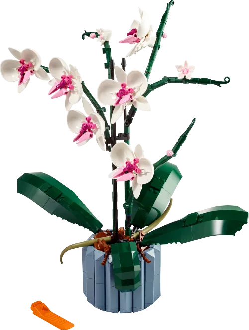 LEGO box 10311 Orchid