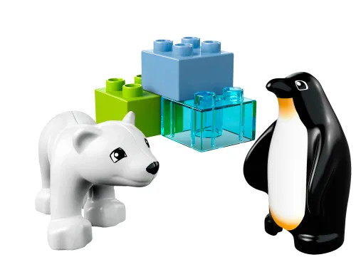 Boîte LEGO 10501 Les animaux polaires du zoo