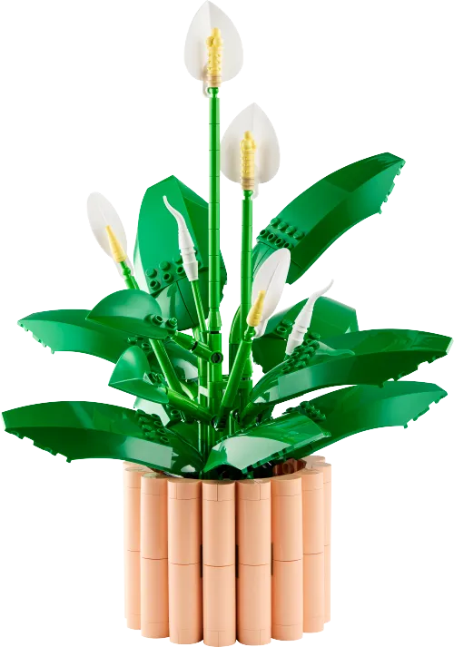 Boîte LEGO 11504 Les fleurs de lune