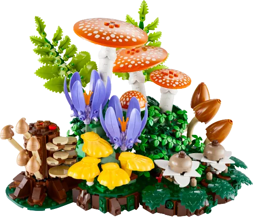 Boîte LEGO 11505 Les champignons des bois