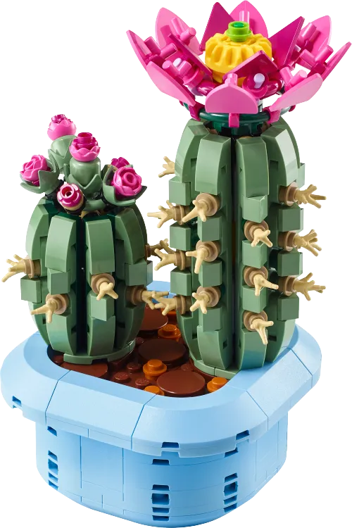 LEGO box 11509 Flowering Cactus