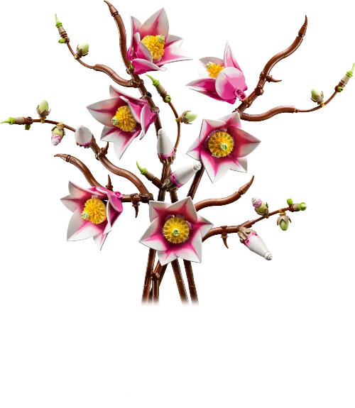 Boîte LEGO 11510 Branches de magnolia