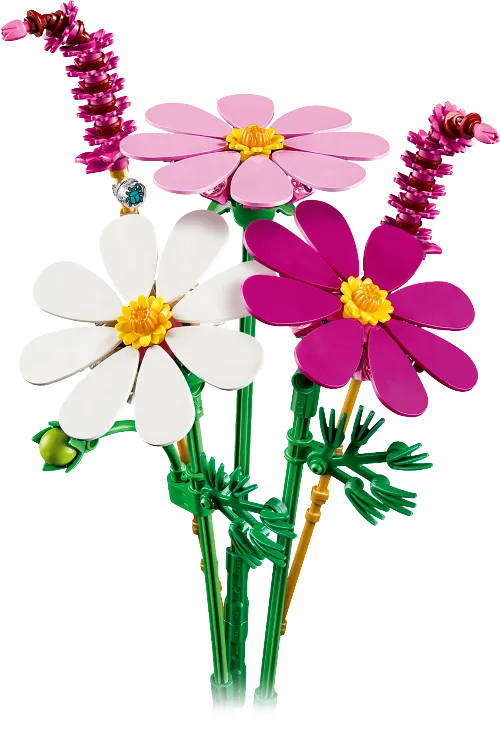 Boîte LEGO 11514 Les cosmos