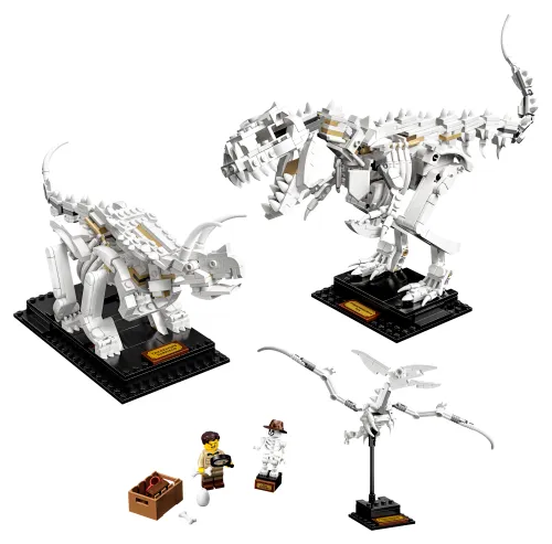 LEGO box 21320 Dinosaur Fossils