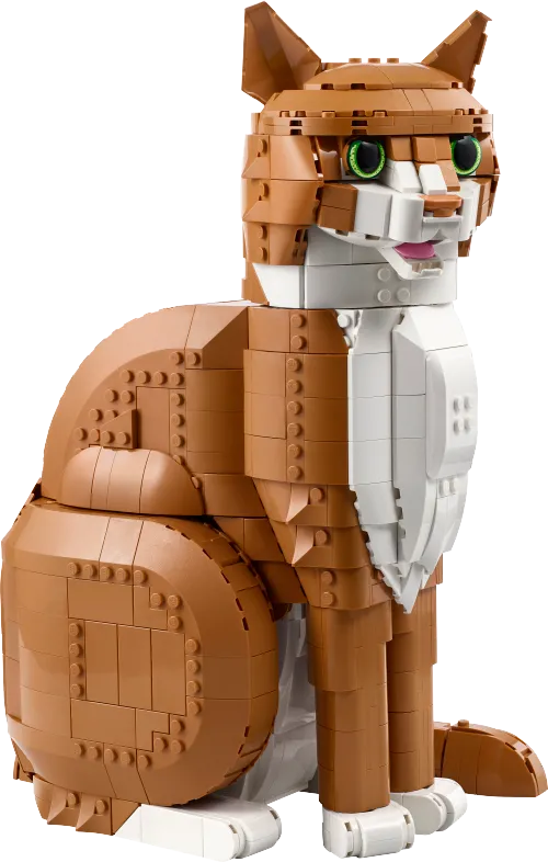 LEGO box 21376 Orange Cat