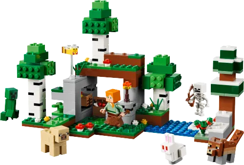 Scatola LEGO 21593 Avventura della prima notte