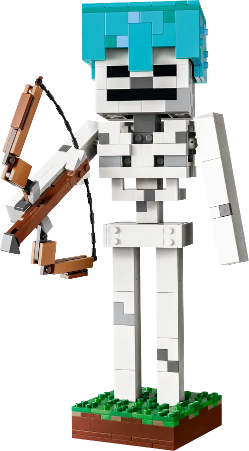 LEGO box 21594 The Skeleton