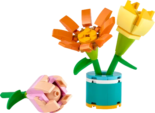 LEGO box 30634 Friendship Flowers