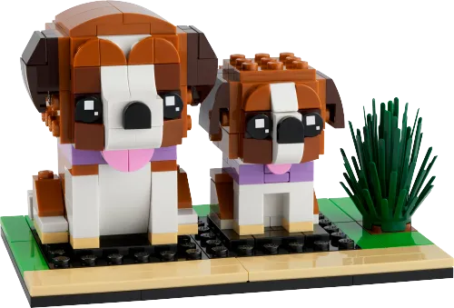 Scatola LEGO 40543 San Bernardo