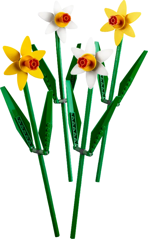 Boîte LEGO 40646 Les jonquilles
