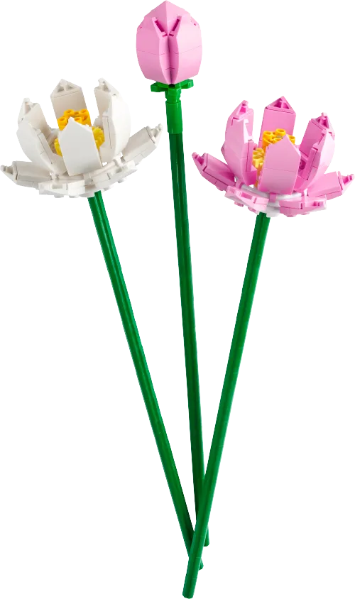 Boîte LEGO 40647 Les fleurs de lotus