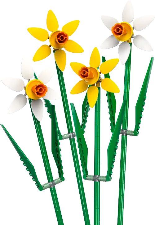 Boîte LEGO 40747 Les jonquilles