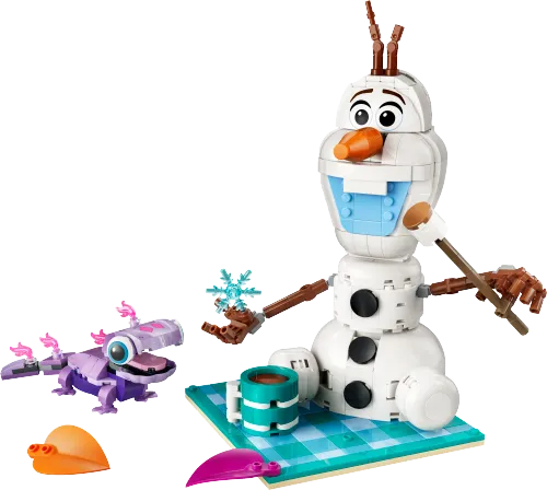 Boîte LEGO 43287 Le pique-nique d’Olaf et Bruni